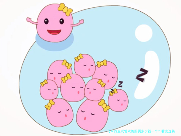 马来西亚试管双胞胎要多少钱一个？看完这篇心里就有数了
