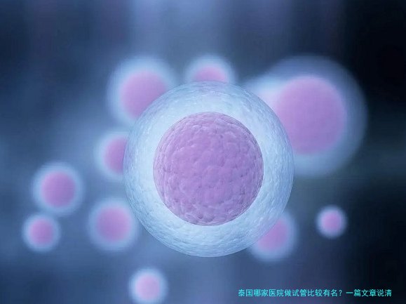 泰国哪家医院做试管比较有名?一篇文章说清楚