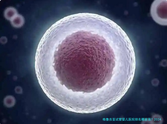格鲁吉亚试管婴儿医院排名哪家强?2024年最新口碑盘点