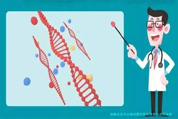 格鲁吉亚可以做试管的医院推荐与选择指南