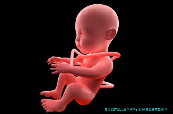 泰国试管婴儿成功例子：这些真实故事告诉你距离好孕有多近