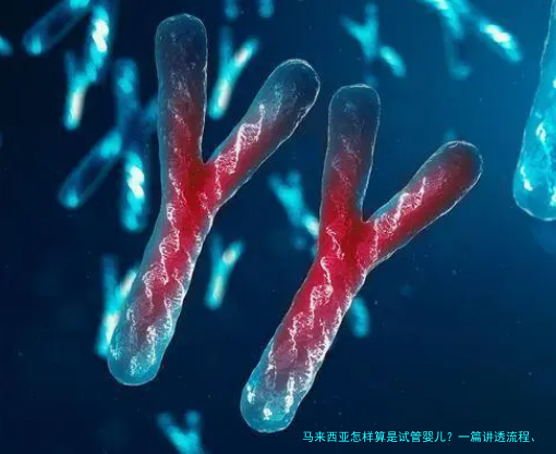 马来西亚怎样算是试管婴儿？一篇讲透流程、费用与法律底线