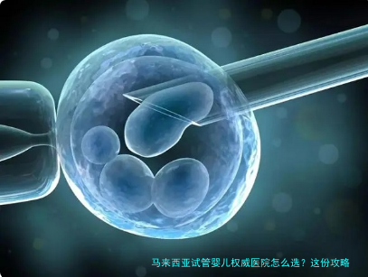 马来西亚试管婴儿权威医院怎么选？这份攻略值得收藏