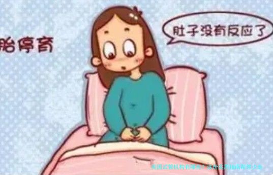 美国试管机构有哪些？这份实用指南帮你少走弯路
