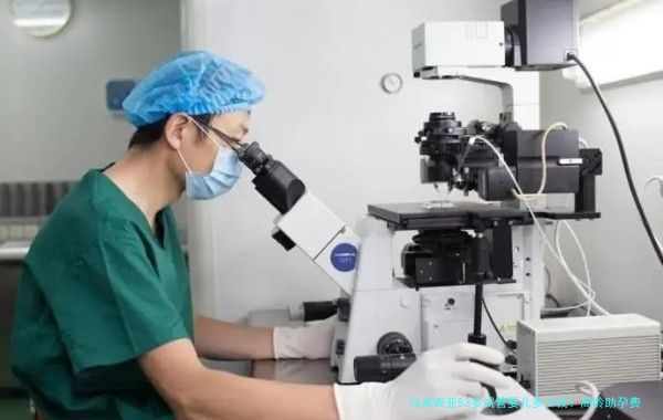 马来西亚53岁试管婴儿多少钱？高龄助孕费用全解析
