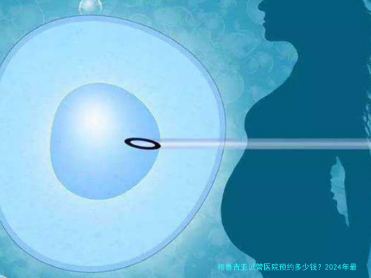 格鲁吉亚试管医院预约多少钱?2024年最新费用与预约流程解析