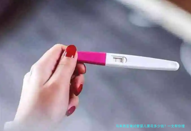 马来西亚做试管婴儿要花多少钱?一文帮你理清价格清单