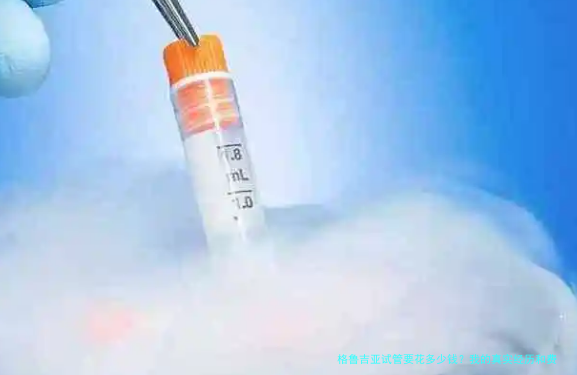 格鲁吉亚试管要花多少钱?我的真实经历和费用清单