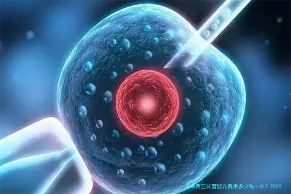 马来西亚试管婴儿费用多少钱一次？2025年真实花费与省钱心得
