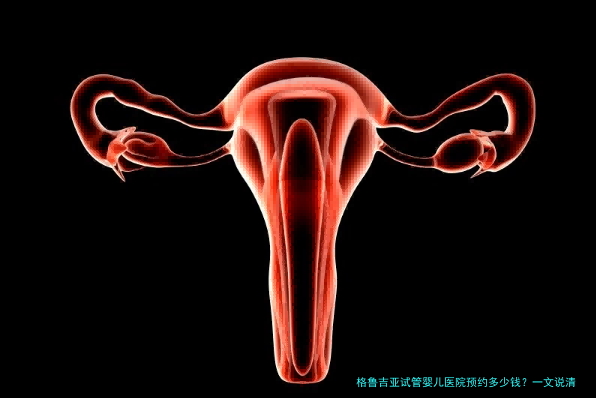 格鲁吉亚试管婴儿医院预约多少钱?一文说清费用和避坑指南