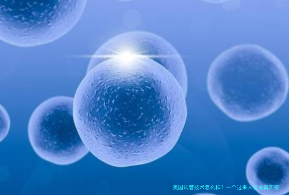 美国试管技术怎么样？一个过来人说说真实感受和成功率真相