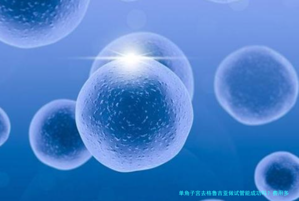 单角子宫去格鲁吉亚做试管能成功吗?费用多少一文说清