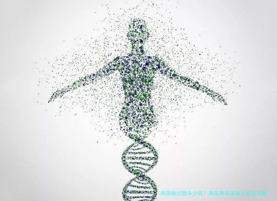 美国做试管多少钱？真实费用清单与省钱攻略，附详细明细