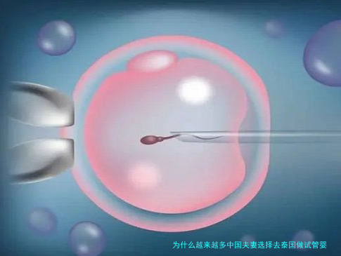 为什么越来越多中国夫妻选择去泰国做试管婴儿?