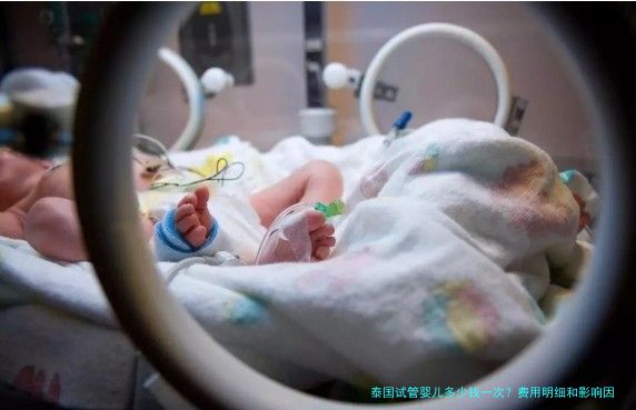 泰国试管婴儿多少钱一次？费用明细和影响因素一文说透