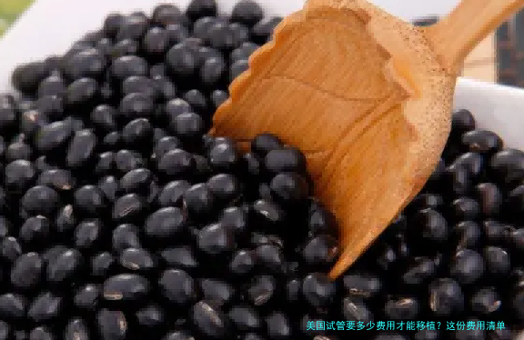 美国试管要多少费用才能移植？这份费用清单请收好