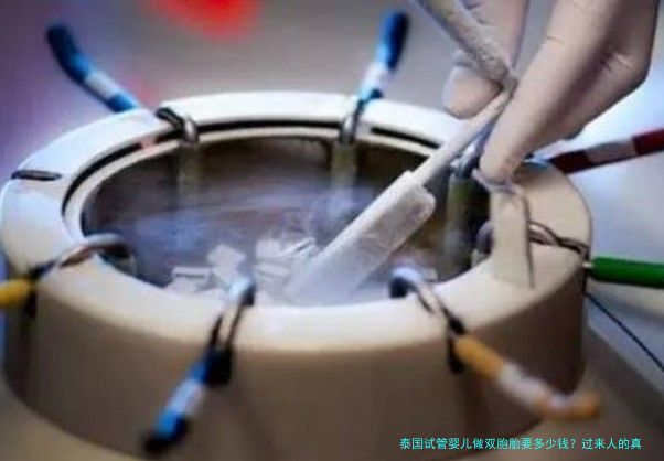 泰国试管婴儿做双胞胎要多少钱？过来人的真实花费清单