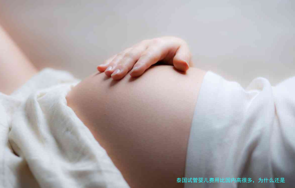 泰国试管婴儿费用比国内高很多,为什么还是有那么多人去?