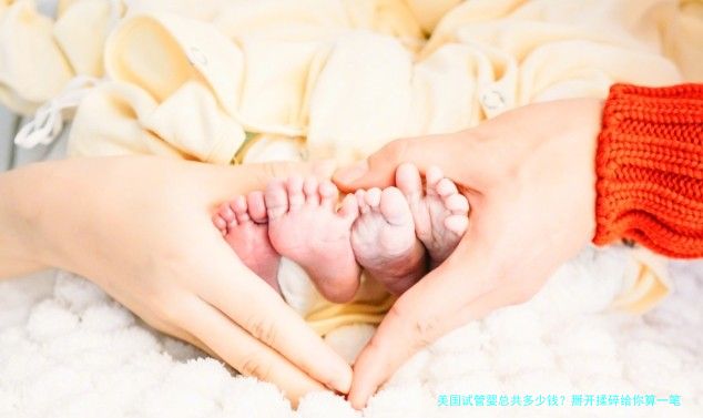 美国试管婴总共多少钱？掰开揉碎给你算一笔真实账