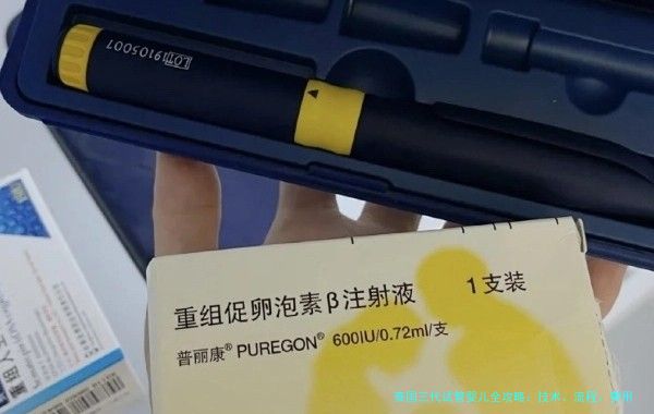 泰国三代试管婴儿全攻略:技术、流程、费用,你想知道的都在这里