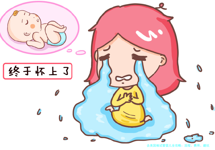 去美国做试管婴儿全攻略：流程、费用、避坑指南