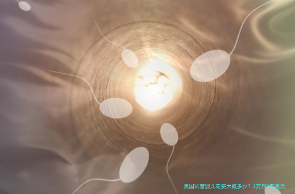 美国试管婴儿花费大概多少？3万到5万美元真的够吗？