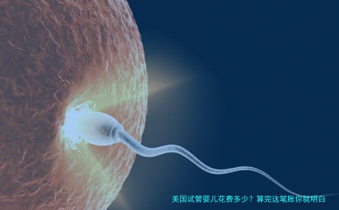 美国试管婴儿花费多少？算完这笔账你就明白了