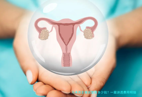 马来西亚做试管需多少钱？一篇讲透费用明细与省钱攻略