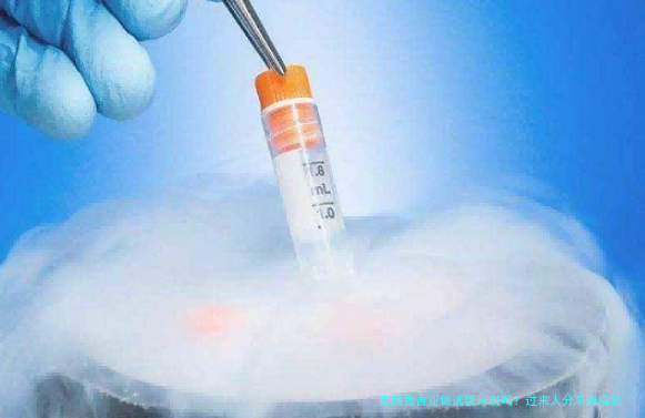 去格鲁吉亚做试管可以吗?过来人分享真实经历和避坑指南