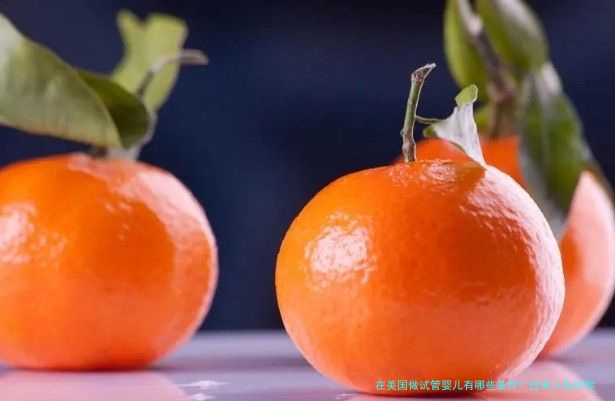 在美国做试管婴儿有哪些条件？过来人告诉你没那么简单