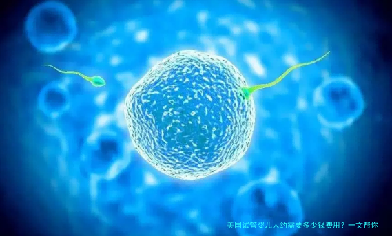 美国试管婴儿大约需要多少钱费用？一文帮你算清这笔账