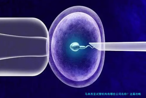 马来西亚试管机构有哪些公司名称？这篇攻略帮你选对地方