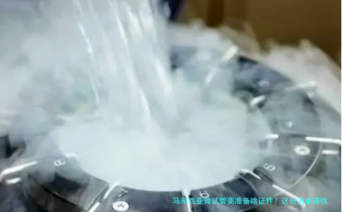 马来西亚做试管要准备啥证件？这份清单请收好