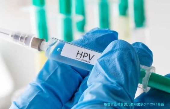 格鲁吉亚试管婴儿费用是多少?2025最新价格明细与避坑指南