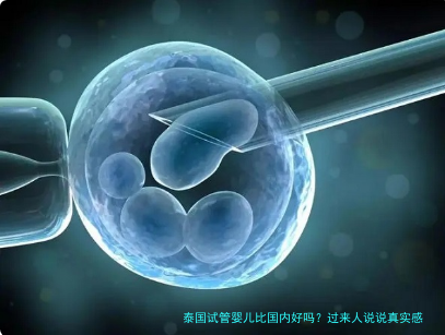 泰国试管婴儿比国内好吗？过来人说说真实感受