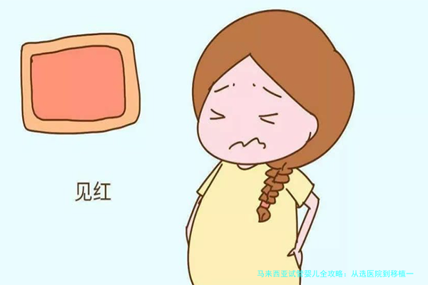 马来西亚试管婴儿全攻略：从选医院到移植一次说清