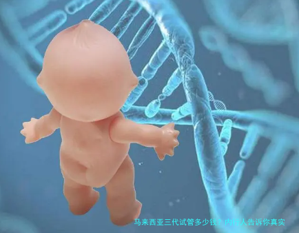 马来西亚三代试管多少钱？内行人告诉你真实费用