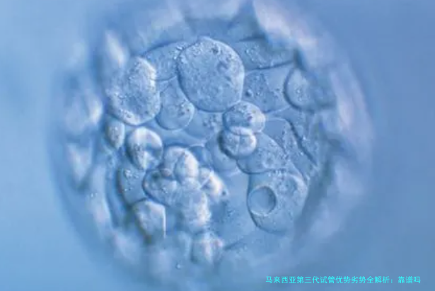 马来西亚第三代试管优势劣势全解析：靠谱吗？值不值得去？