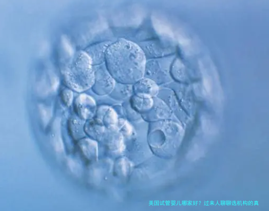 美国试管婴儿哪家好？过来人聊聊选机构的真心话，别踩坑