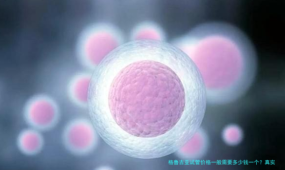 格鲁吉亚试管价格一般需要多少钱一个?真实费用看完就明白