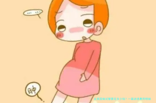 去美国做试管要花多少钱？一篇讲透费用明细和避坑指南