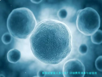 泰国试管婴儿多少钱?详细费用清单与省钱攻略