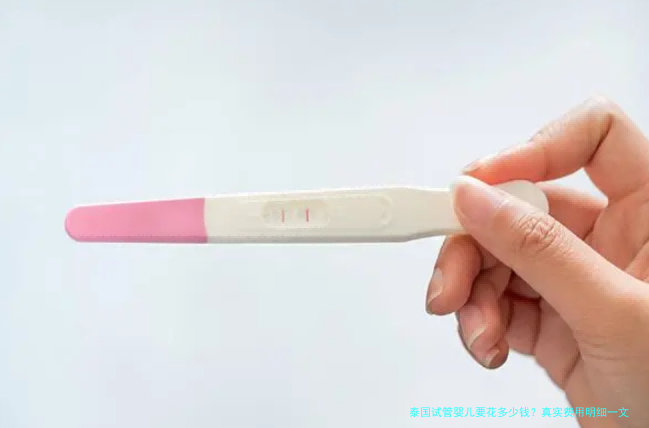 泰国试管婴儿要花多少钱?真实费用明细一文讲透