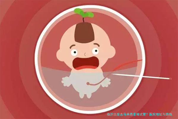 临沂出发去马来西亚做试管？医院地址与路线一文讲透