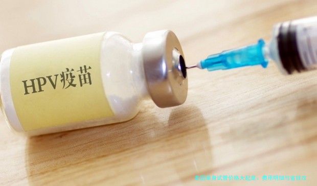 泰国单身试管价格大起底:费用明细与省钱攻略