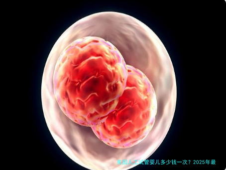 美国人工试管婴儿多少钱一次？2025年最新费用明细与省钱攻略