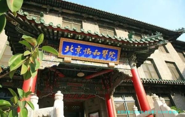 泰国试管公司排名怎么看?2024年靠谱机构选择指南