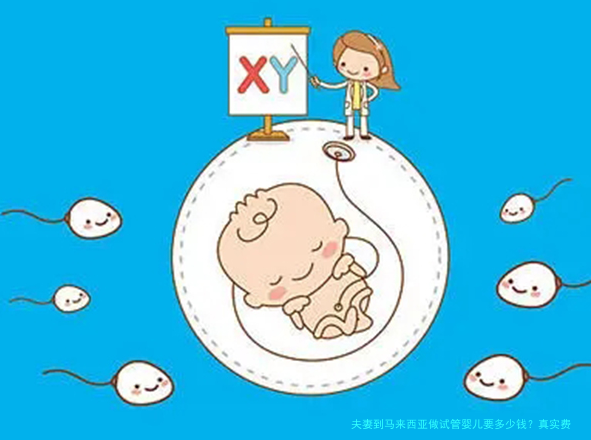 夫妻到马来西亚做试管婴儿要多少钱？真实费用清单与省钱攻略