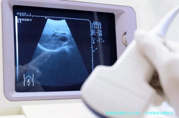 美国做试管婴儿多少钱？一文拆解真实费用与隐性成本