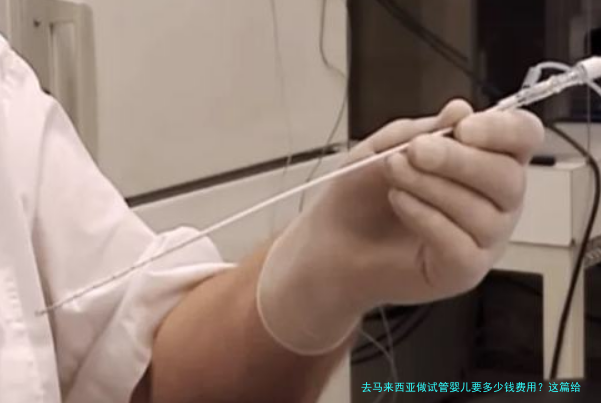 去马来西亚做试管婴儿要多少钱费用？这篇给你说清楚